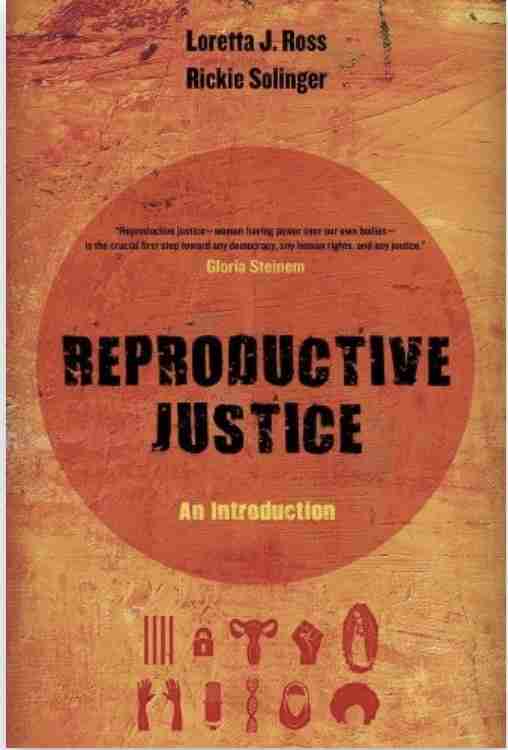 Reproductive Justice: An Introduction Volume 1